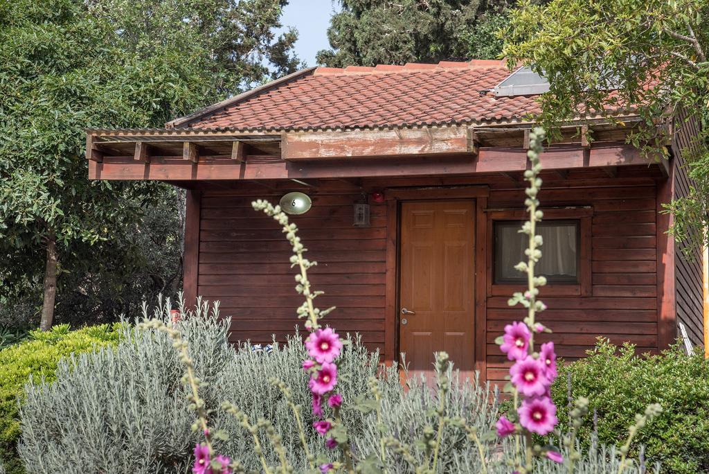 Zohar Badeshe Ξενοδοχείο Daliyya Εξωτερικό φωτογραφία